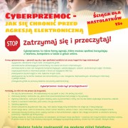 Cyberprzemoc - Jak się chronić przed agresją elektroniczną